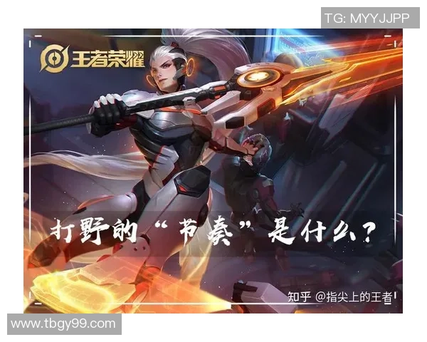 权威发布王者荣耀节奏实力榜单全面解析与玩家策略建议